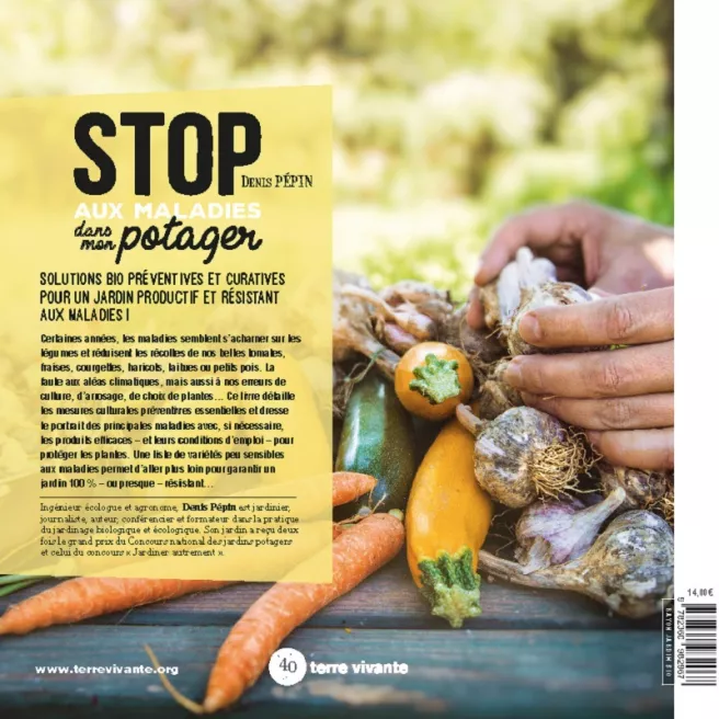 Stop aux maladies dans mon potager