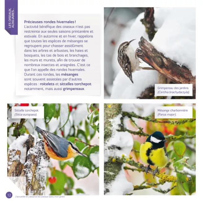 J'accueille et j'observe les oiseaux dans mon jardin