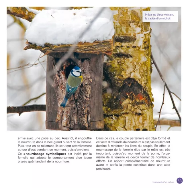 J'accueille et j'observe les oiseaux dans mon jardin