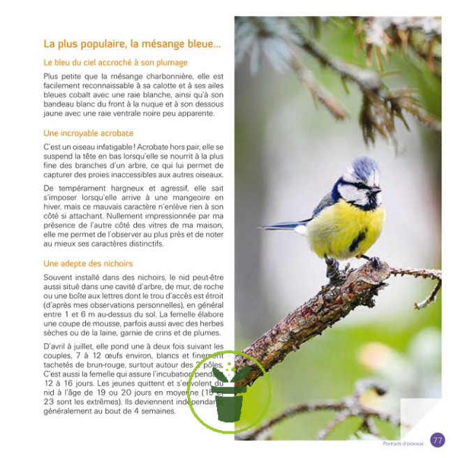 J'accueille et j'observe les oiseaux dans mon jardin