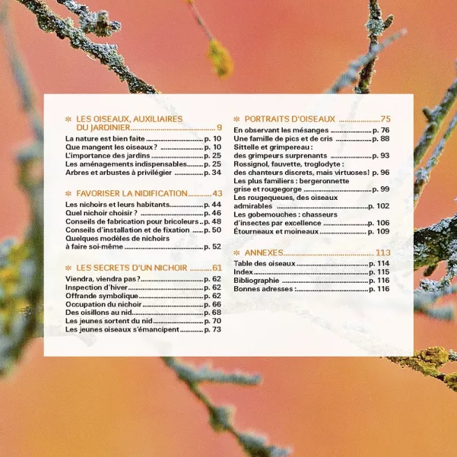 J'accueille et j'observe les oiseaux dans mon jardin