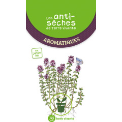 Livre - Les anti-sèches de Terre vivante : Aromatiques