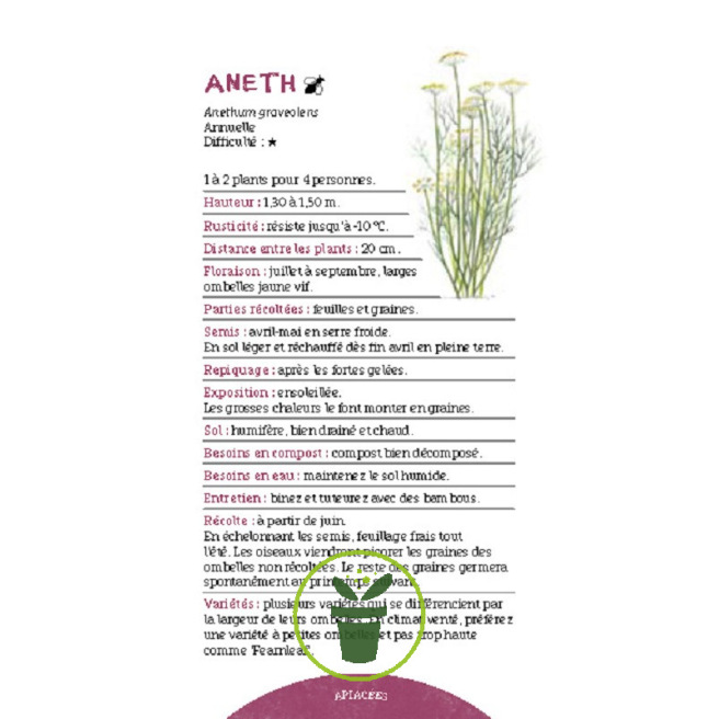 Les antisèches de Terre vivante : Aromatiques
