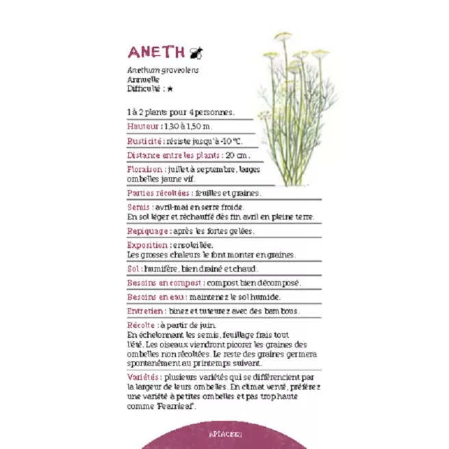 Les antisèches de Terre vivante : Aromatiques