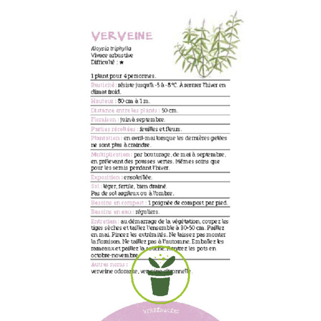 Les antisèches de Terre vivante : Aromatiques