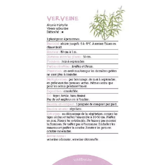 Les antisèches de Terre vivante : Aromatiques