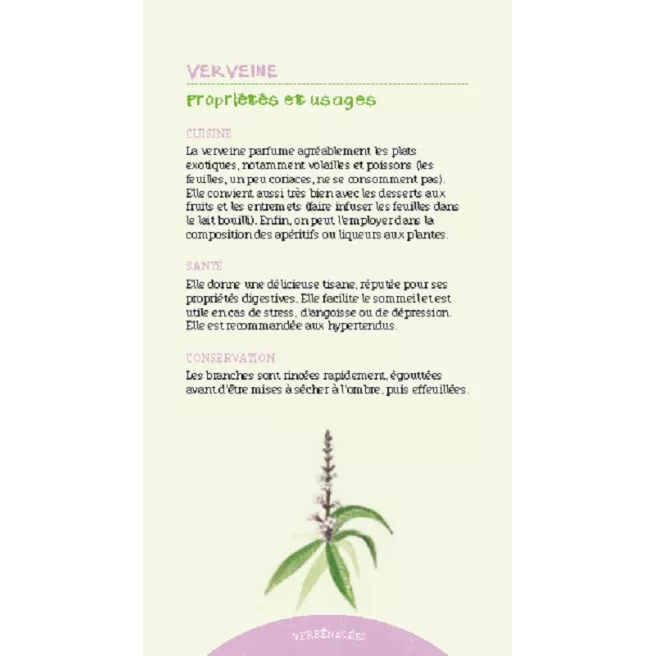 Les antisèches de Terre vivante : Aromatiques