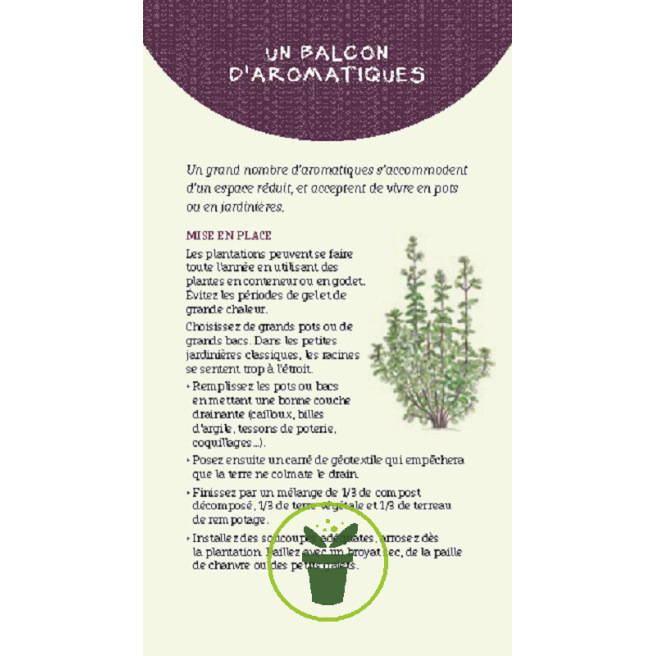 Les antisèches de Terre vivante : Aromatiques