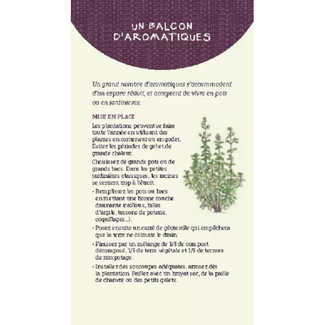 Les antisèches de Terre vivante : Aromatiques