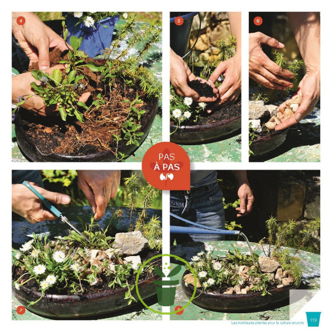 Je réussis toutes mes cultures en pots !