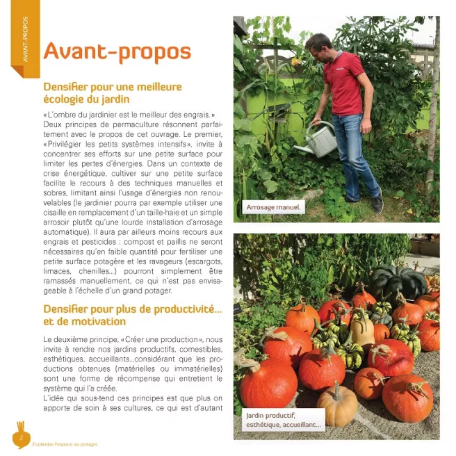 J'optimise l'espace au potager