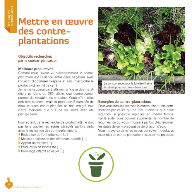 J'optimise l'espace au potager