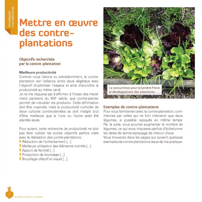 J'optimise l'espace au potager