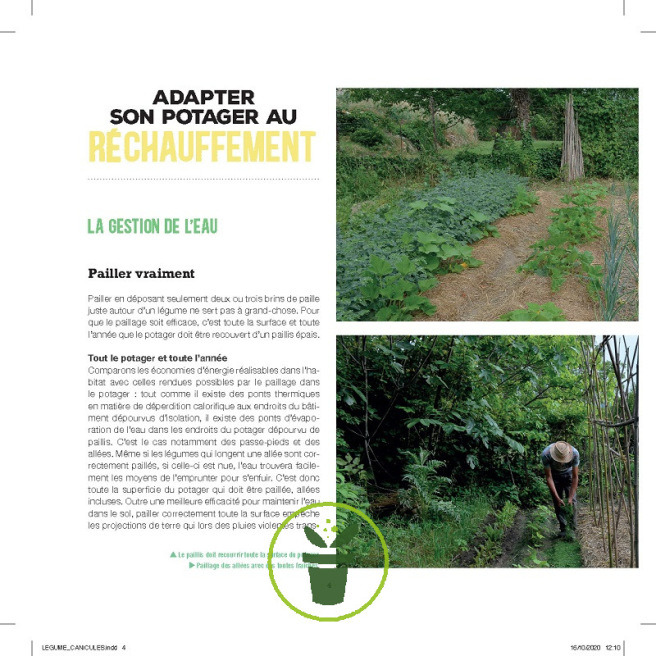 Légumes et canicule Légumes et canicule