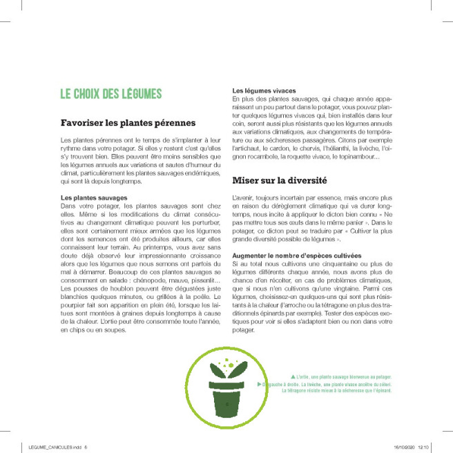 Légumes et canicule Légumes et canicule