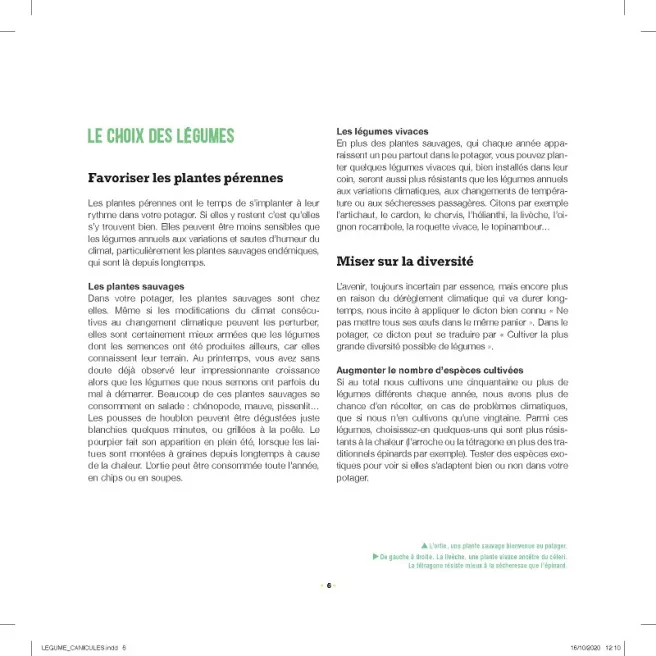 Légumes et canicule