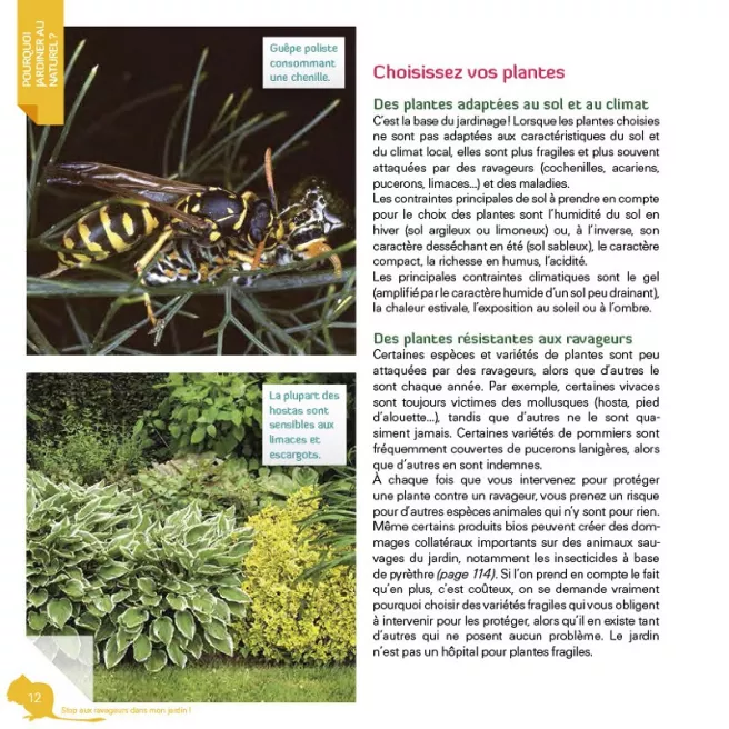 Stop aux ravageurs dans mon jardin !