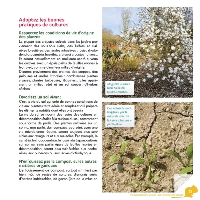 Stop aux ravageurs dans mon jardin !