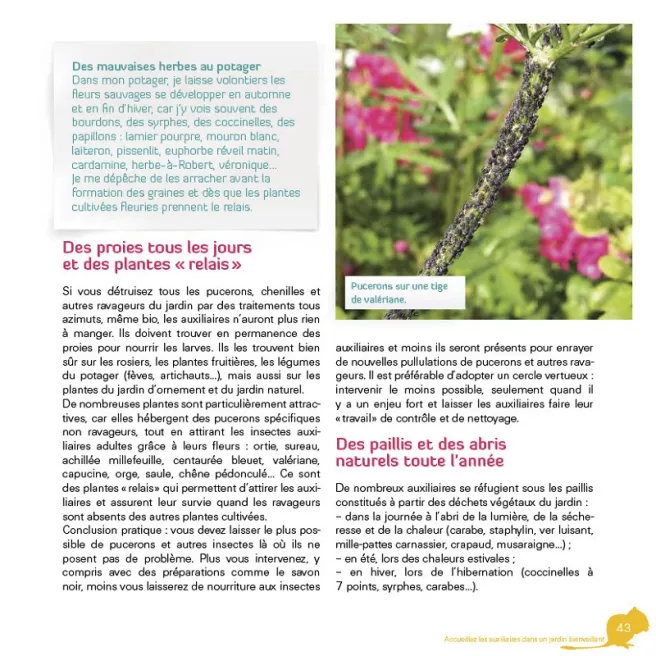 Stop aux ravageurs dans mon jardin !