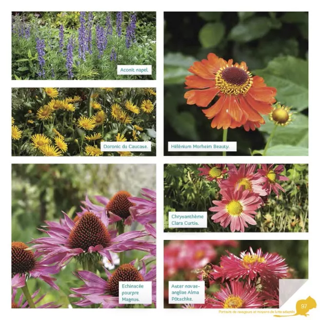 Stop aux ravageurs dans mon jardin !