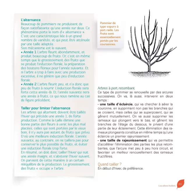 J'apprends à tailler mes arbres