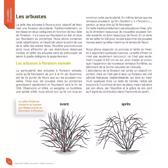 J'apprends à tailler mes arbres