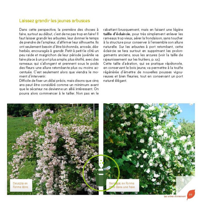 J'apprends à tailler mes arbres