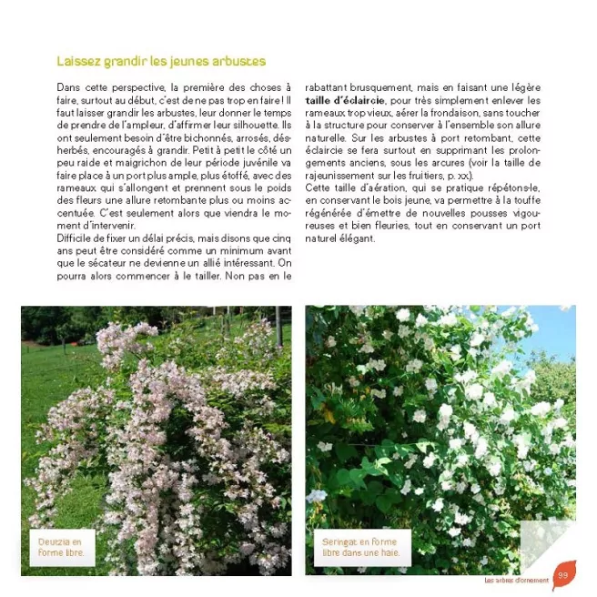 J'apprends à tailler mes arbres