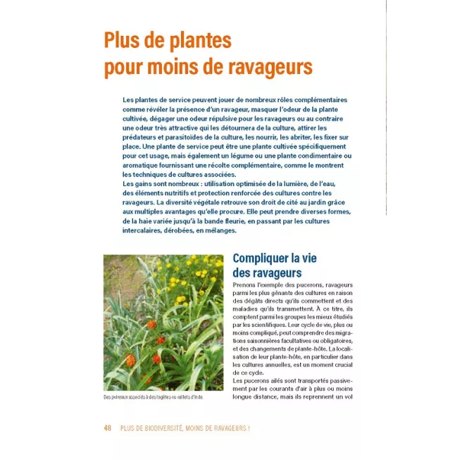 Plus de biodiversité, moins de ravageurs !