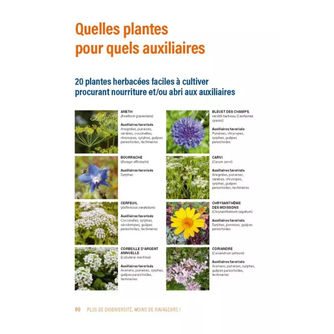 Plus de biodiversité, moins de ravageurs !