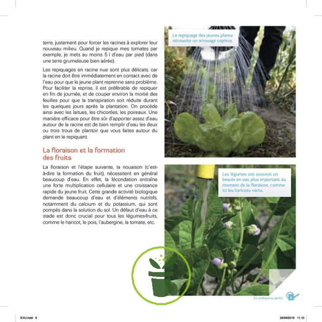 J'économise l'eau au potager – Pour arroser efficacement J'économise l'eau au potager – Pour arroser efficacement
