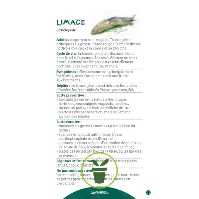 Les antisèches de Terre vivante : Ravageurs & maladies