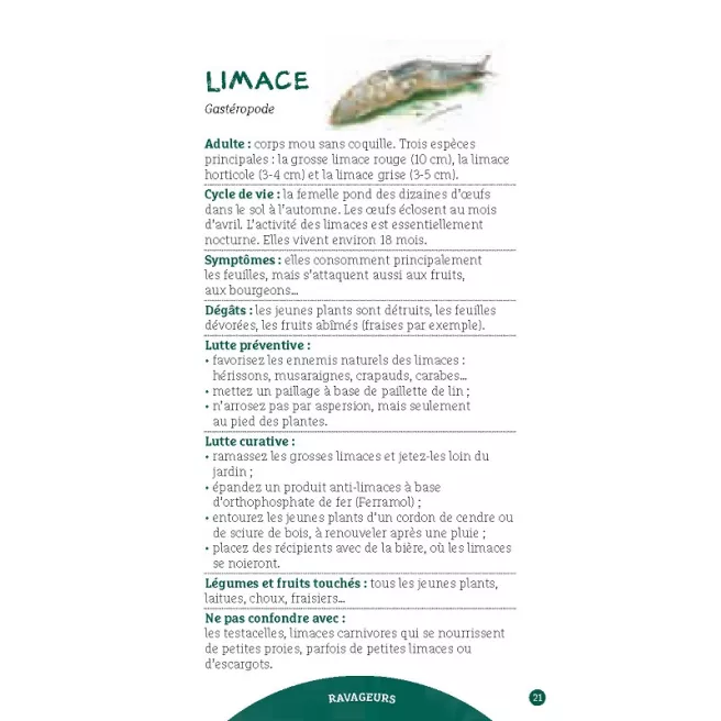 Les antisèches de Terre vivante : Ravageurs & maladies