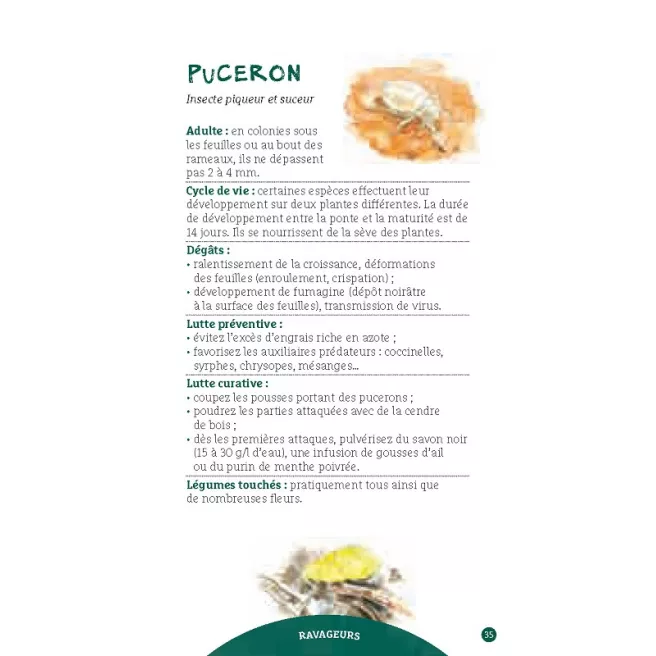 Les antisèches de Terre vivante : Ravageurs & maladies