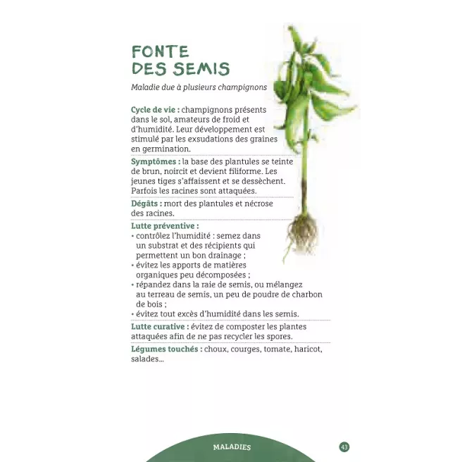 Les antisèches de Terre vivante : Ravageurs & maladies