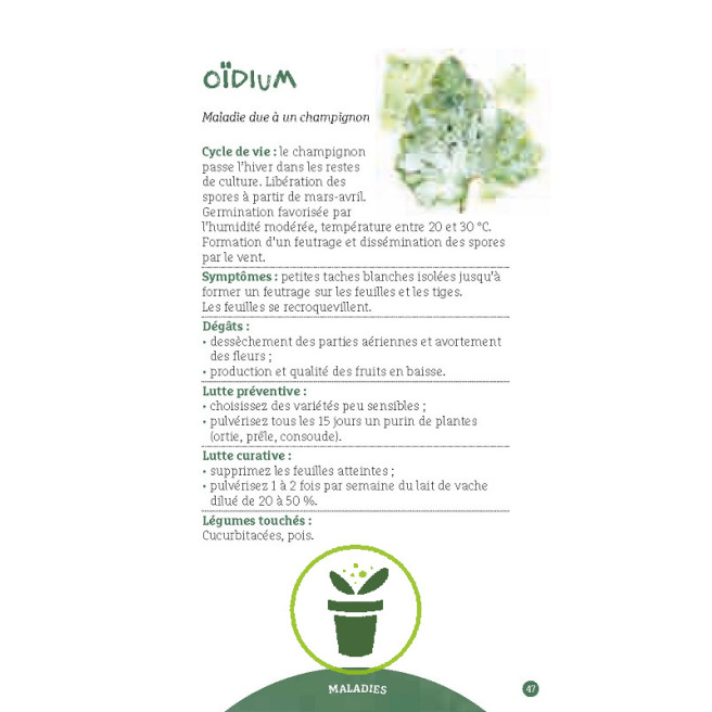 Les antisèches de Terre vivante : Ravageurs & maladies