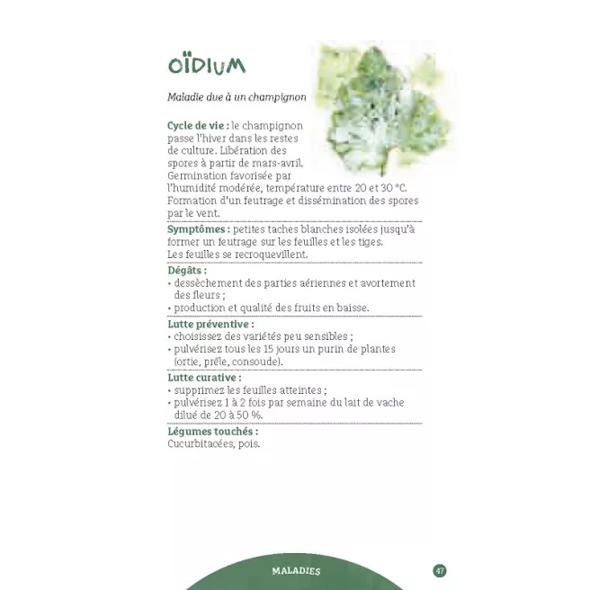 Les antisèches de Terre vivante : Ravageurs & maladies