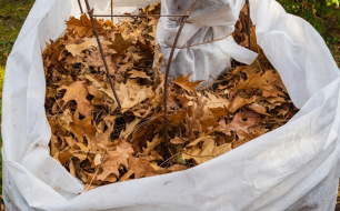 Que faire au jardin en décembre ?