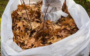 Que faire au jardin en décembre ?