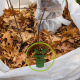 Que faire au jardin en décembre ?