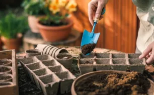 Les 6 outils indispensables aux semis et repiquage