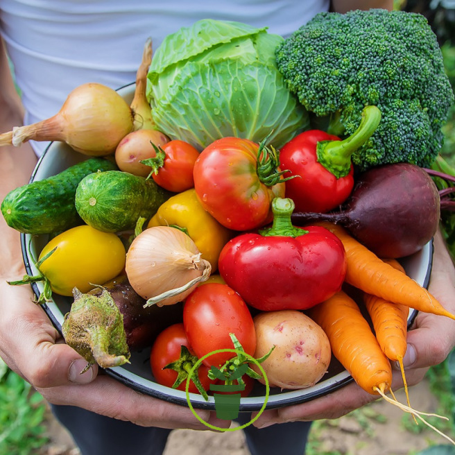 Mon jardin potager BIO prêt à semer – 15 variétés de graines potagères