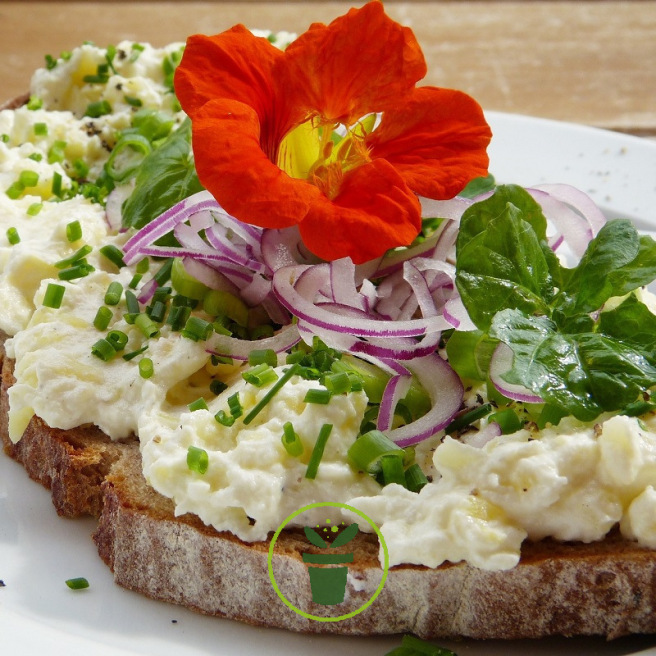 Fleurs comestibles variées - Graines à semer