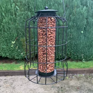 Mangeoire pour arachides avec cage de protection pour petits oiseaux