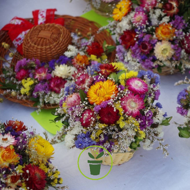 Graines de Mélange de fleurs pour bouquets et massifs