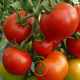 Tomates mélange de 3 variétés 150 graines