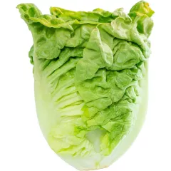 Laitue Romaine Sucrine Little Gem 2 grammes