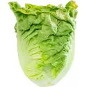 Laitue Romaine Sucrine Little Gem 2 grammes