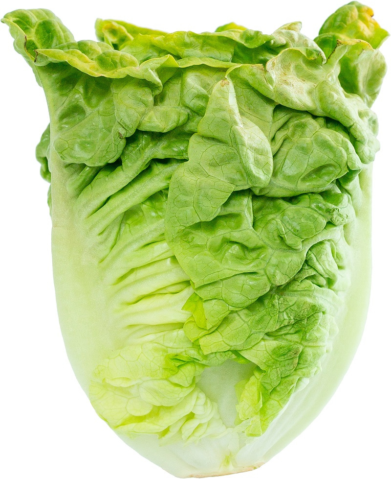 Ali Da Fata Lucenti Per Adulti E Bambini - Costume Da Farfalla Per Carnevale, Halloween E Feste - Foto 11