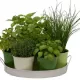 Plantes aromatiques en mélange 2 grammes